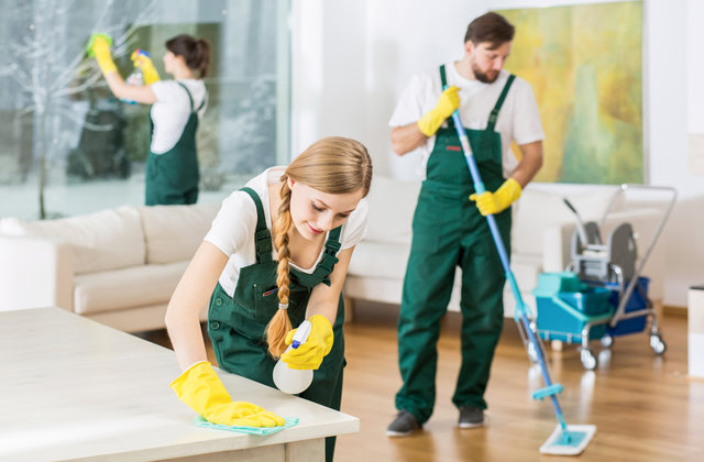 The Rise of Specialized Cleaning Services